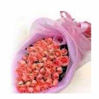 3 Dozen Pomelo Pink roses Boquet