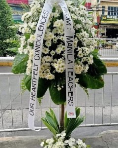 A Light Sympathy Standing